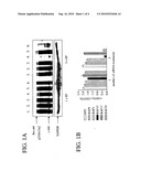 RNAi Modulation of the BCR-ABL Fusion Gene and Uses Thereof diagram and image