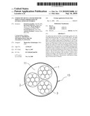 ENDOSCOPY DEVICE AND METHOD FOR SIMULTANEOUS OBSERVATION OF SEVERAL ZONES OF INTEREST diagram and image