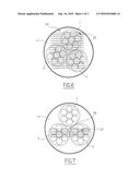 ENDOSCOPY DEVICE AND METHOD FOR SIMULTANEOUS OBSERVATION OF SEVERAL ZONES OF INTEREST diagram and image