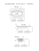 TREATMENT OF MICROBIOLOGICAL PATHOGENS IN A TOE NAIL WITH ANTIMICROBIAL LIGHT diagram and image