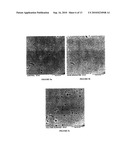 METHODS FOR IMPROVING THE BIOACTIVITY CHARACTERISTICS OF A SURFACE AND OBJECTS WITH SURFACES IMPROVED THEREBY diagram and image