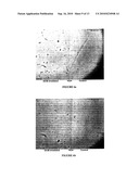 METHODS FOR IMPROVING THE BIOACTIVITY CHARACTERISTICS OF A SURFACE AND OBJECTS WITH SURFACES IMPROVED THEREBY diagram and image