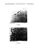 METHODS FOR IMPROVING THE BIOACTIVITY CHARACTERISTICS OF A SURFACE AND OBJECTS WITH SURFACES IMPROVED THEREBY diagram and image