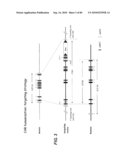 TRANSGENIC ANIMALS FOR ASSESSING DRUG METABOLISM AND TOXICITY diagram and image