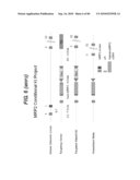 TRANSGENIC ANIMALS FOR ASSESSING DRUG METABOLISM AND TOXICITY diagram and image