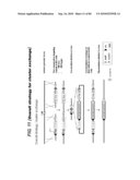 TRANSGENIC ANIMALS FOR ASSESSING DRUG METABOLISM AND TOXICITY diagram and image