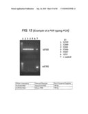 TRANSGENIC ANIMALS FOR ASSESSING DRUG METABOLISM AND TOXICITY diagram and image