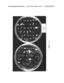 Methods and genetic compositions to limit outcrossing and undesired gene flow in crop plants diagram and image