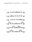 PLANTS MODIFIED WITH MINI-CHROMOSOMES diagram and image