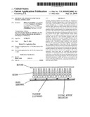 Method and Apparatus for Visual Neural Stimulation diagram and image