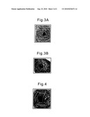 METHOD FOR GROWING SILICON CARBIDE SINGLE CRYSTAL diagram and image