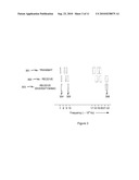 MULTIPLE ANTENNA SYSTEM FOR WIRELESS COMMUNICATION diagram and image