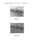 APPARATUS AND METHOD FOR CLASSIFYING IMAGES diagram and image