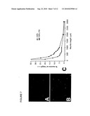 SUBSTITUTED TRIAZINE COMPOUNDS FOR NERVE REGENERATION diagram and image