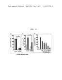 GENE SENSITIVE TO BONE/JOINT DISEASE AND USE THEREOF diagram and image