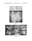 CALCIUM-BINDING AGENTS INDUCE HAIR GROWTH AND/OR NAIL GROWTH diagram and image