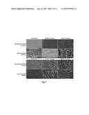 CALCIUM-BINDING AGENTS INDUCE HAIR GROWTH AND/OR NAIL GROWTH diagram and image