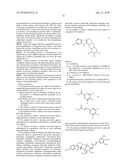 CHEMOTHERAPEUTIC FOR INDUCING AN MSH2-DEPENDENT APOPTOTIC PATHWAY diagram and image