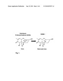 BACTERIAL ISOLATE AND METHODS FOR DETOXIFICATION OF TRICHOTHECENE MYCOTOXINS diagram and image