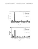 SYNTHETIC HLA BINDING PEPTIDE ANALOGUES AND USES THEREOF diagram and image