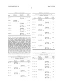 SYNTHETIC HLA BINDING PEPTIDE ANALOGUES AND USES THEREOF diagram and image