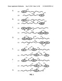 EXTENDED RECOMBINANT POLYPEPTIDES AND COMPOSITIONS COMPRISING SAME diagram and image