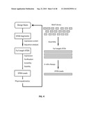 EXTENDED RECOMBINANT POLYPEPTIDES AND COMPOSITIONS COMPRISING SAME diagram and image