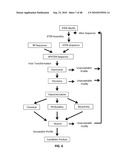 EXTENDED RECOMBINANT POLYPEPTIDES AND COMPOSITIONS COMPRISING SAME diagram and image