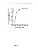 EXTENDED RECOMBINANT POLYPEPTIDES AND COMPOSITIONS COMPRISING SAME diagram and image