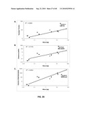 EXTENDED RECOMBINANT POLYPEPTIDES AND COMPOSITIONS COMPRISING SAME diagram and image