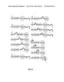 EXTENDED RECOMBINANT POLYPEPTIDES AND COMPOSITIONS COMPRISING SAME diagram and image