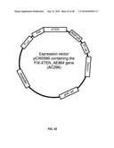 EXTENDED RECOMBINANT POLYPEPTIDES AND COMPOSITIONS COMPRISING SAME diagram and image