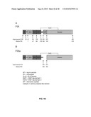 EXTENDED RECOMBINANT POLYPEPTIDES AND COMPOSITIONS COMPRISING SAME diagram and image