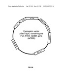 EXTENDED RECOMBINANT POLYPEPTIDES AND COMPOSITIONS COMPRISING SAME diagram and image