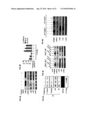 ENIGMA-MDM2 INTERACTION AND USES THEREOF diagram and image