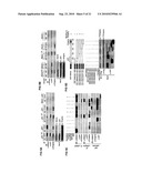 ENIGMA-MDM2 INTERACTION AND USES THEREOF diagram and image