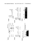 ENIGMA-MDM2 INTERACTION AND USES THEREOF diagram and image