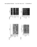 ENIGMA-MDM2 INTERACTION AND USES THEREOF diagram and image