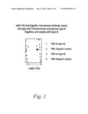 ANTIBODIES AGAINST FLAGELLIN AND USES THEREOF diagram and image