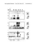 Isolation and Purification of P. Falciparum Merozoite Protein-142 Vaccine diagram and image