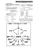 PHARMACEUTICAL COMPOSITION FOR THE TREATMENT AND PREVENTION OF DISEASES INVOLVING IMPOTENCE diagram and image