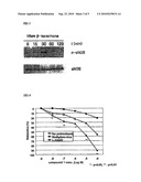 PHARMACEUTICAL COMPOSITION FOR THE TREATMENT AND PREVENTION OF DISEASES INVOLVING IMPOTENCE diagram and image