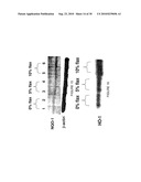 FLAXSEED LIGNAN COMPLEX, METHODS OF USING AMD COMPOSITIONS THEREOF diagram and image