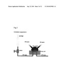 SURFACE ENHANCED INFRARED ABSORPTION SENSOR AND METHOD FOR PRODUCING THE SAME diagram and image