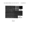 Elastomeric mask and use in fabrication of devices diagram and image