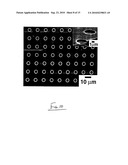 Elastomeric mask and use in fabrication of devices diagram and image