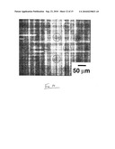 Elastomeric mask and use in fabrication of devices diagram and image