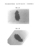 Absorbent sheet exhibiting resistance to moisture penetration diagram and image