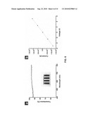 Method of forming a film of graphite oxide single layers, and applications of same diagram and image