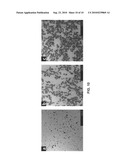 Method of forming a film of graphite oxide single layers, and applications of same diagram and image